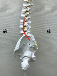 豊洲カイロ腰痛